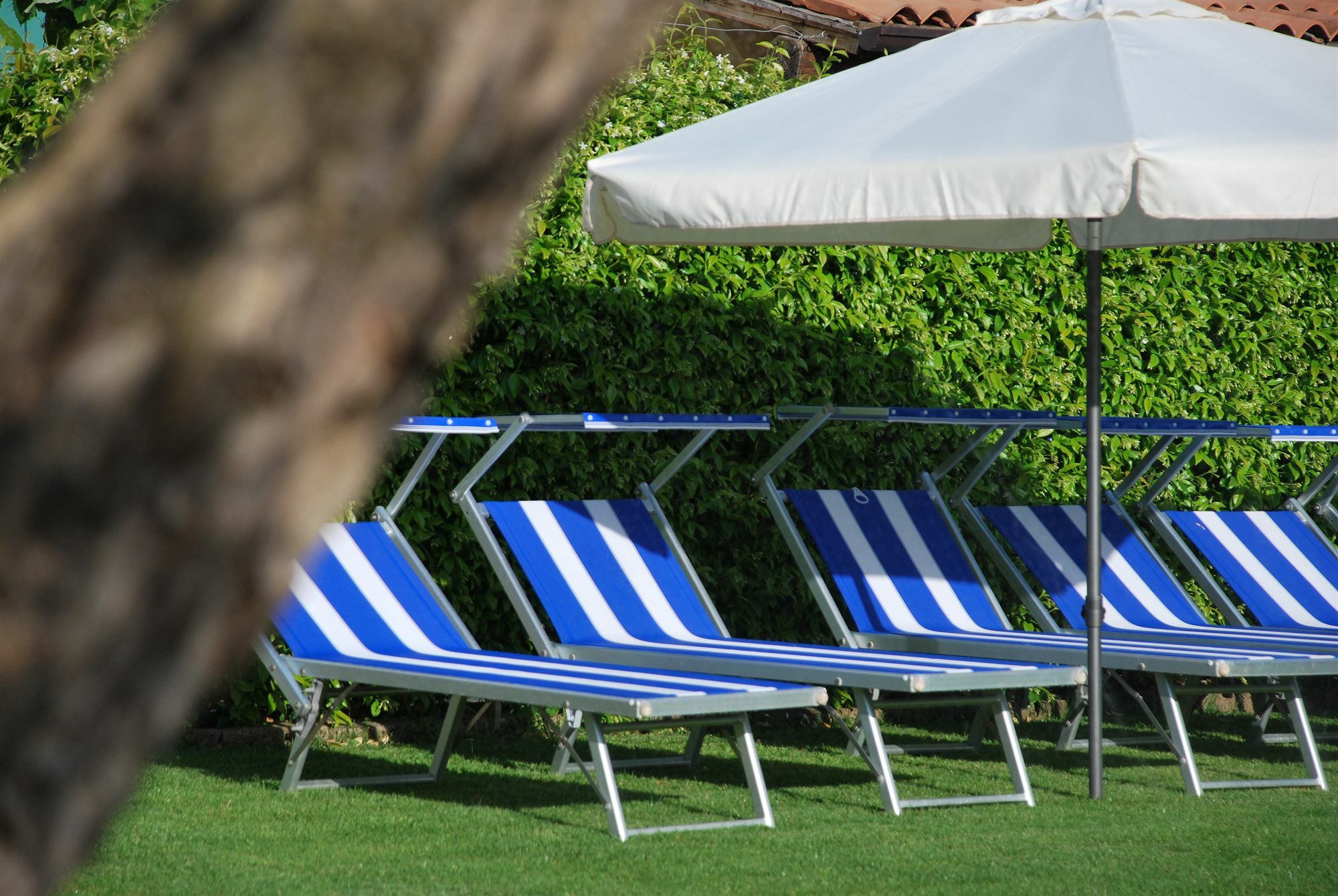 Bed and Breakfast La Tinassara Lazise Zewnętrze zdjęcie